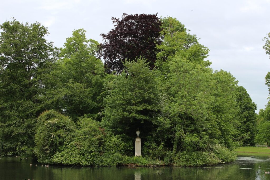 Image by mzmatuszewski0 from Pixabay