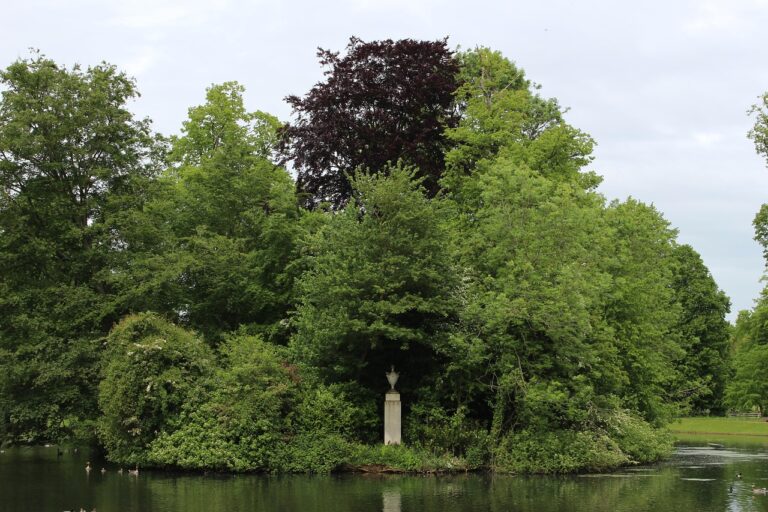 Image by mzmatuszewski0 from Pixabay