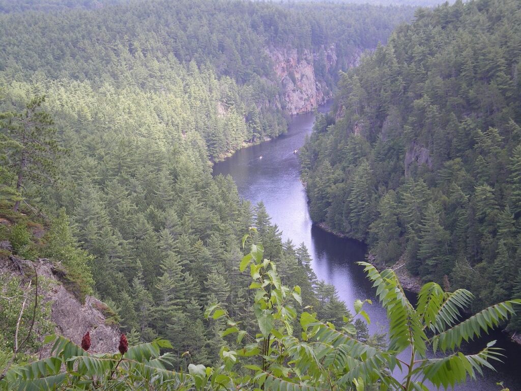 Image by Inquisitor from Pixabay