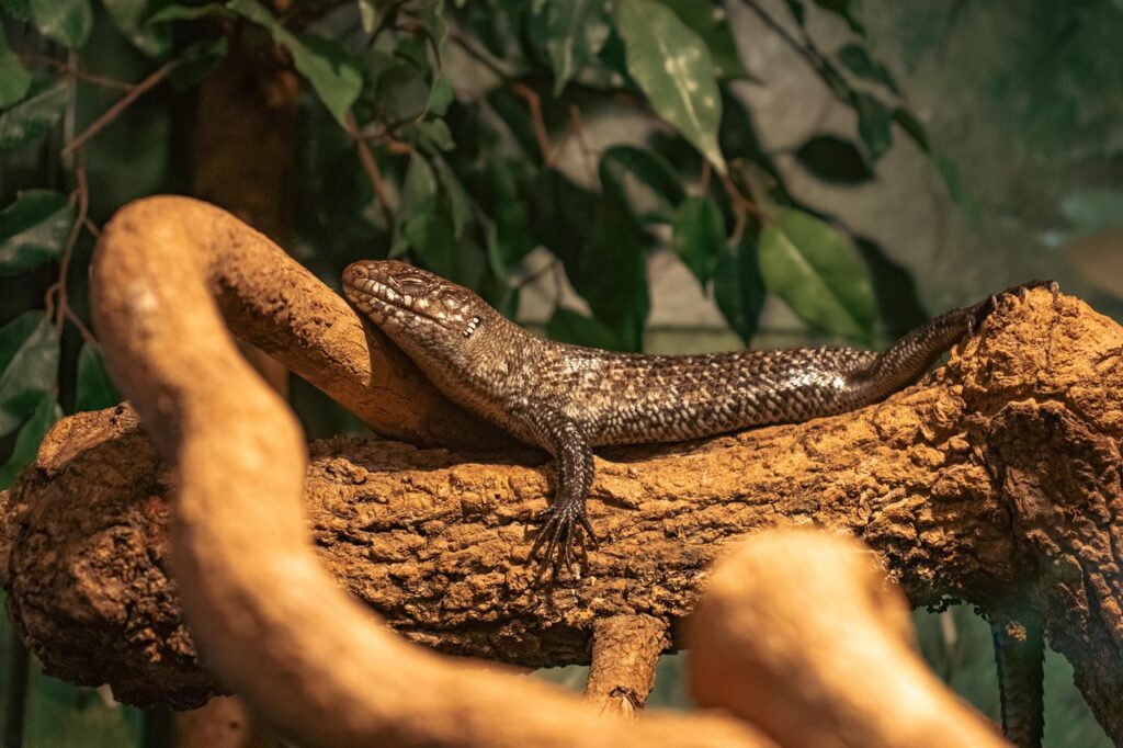 Image by Storme22k from Pixabay