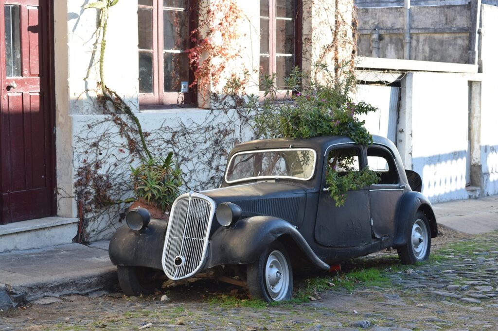 Image by Tomizus from Pixabay