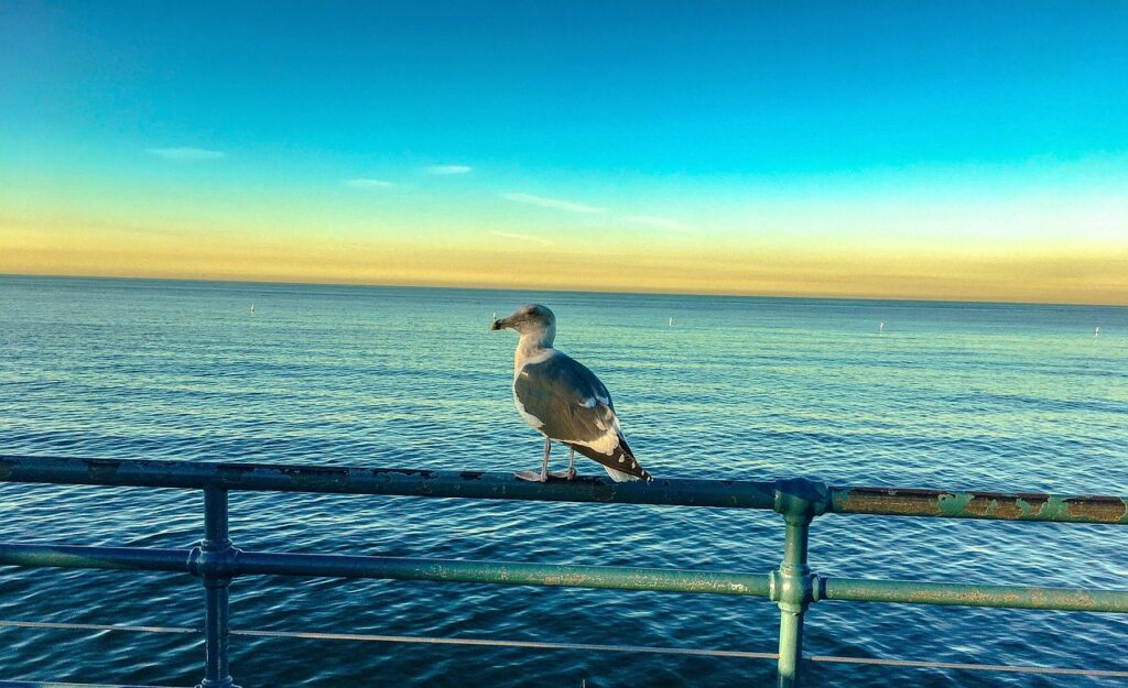 Image by nextvoyage from Pixabay