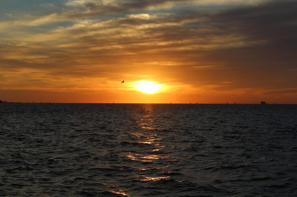 Image by damoney777 from Pixabay