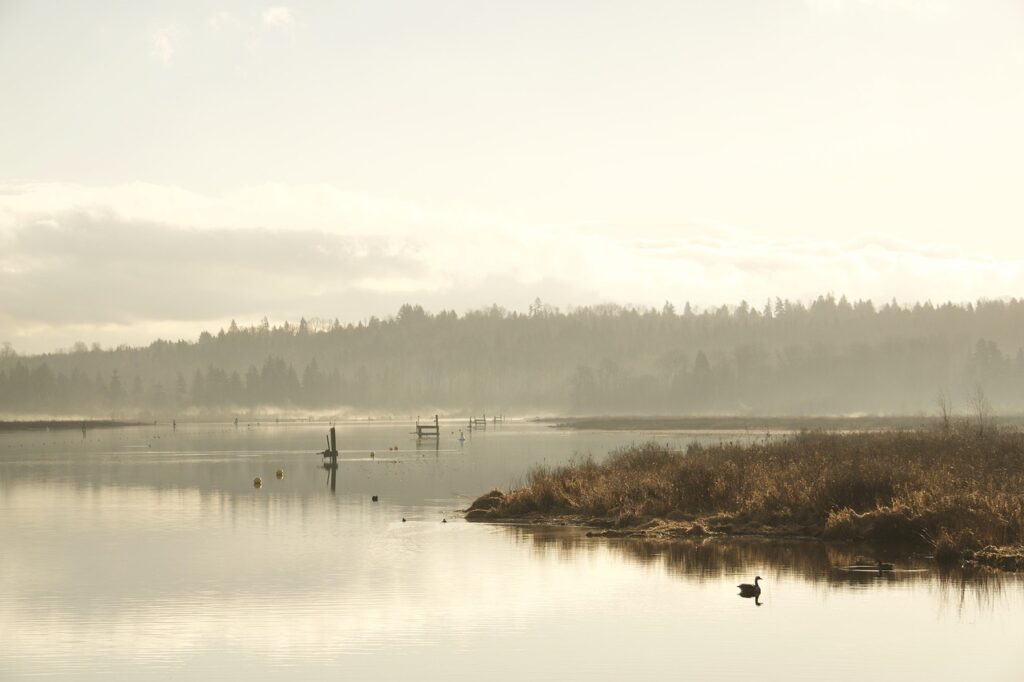 Image by Jiyoung_Kim_photo from Pixabay