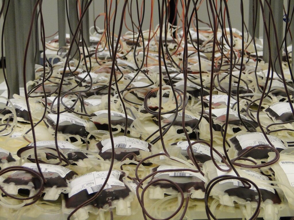 Image by sabinurce from Pixabay