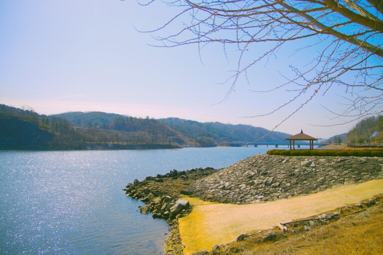 Image by namsieon from Pixabay
