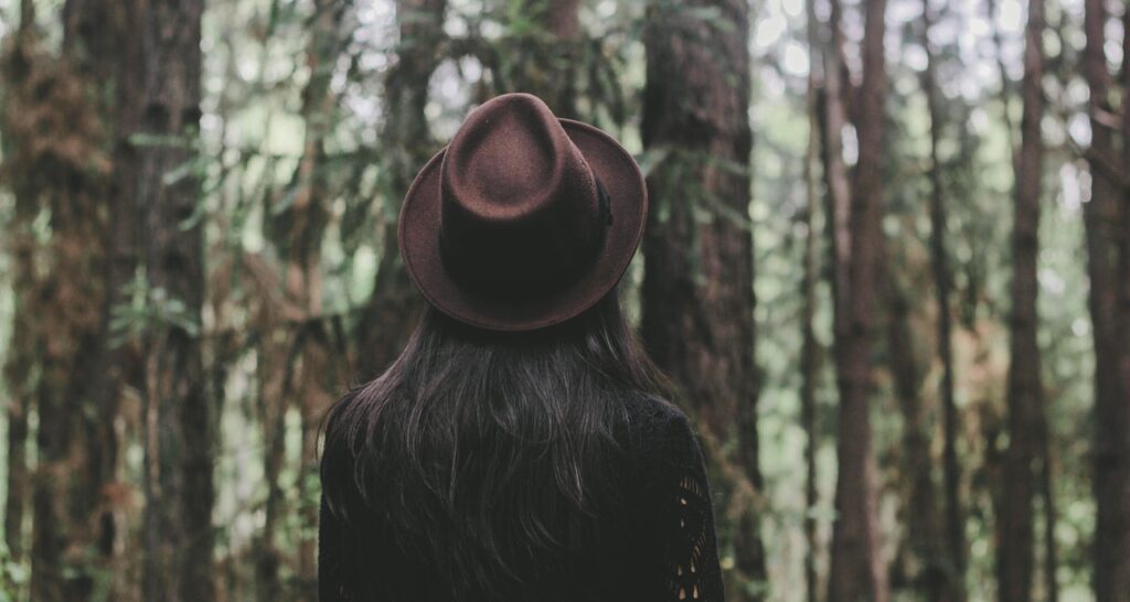 Image by Pexels from Pixabay