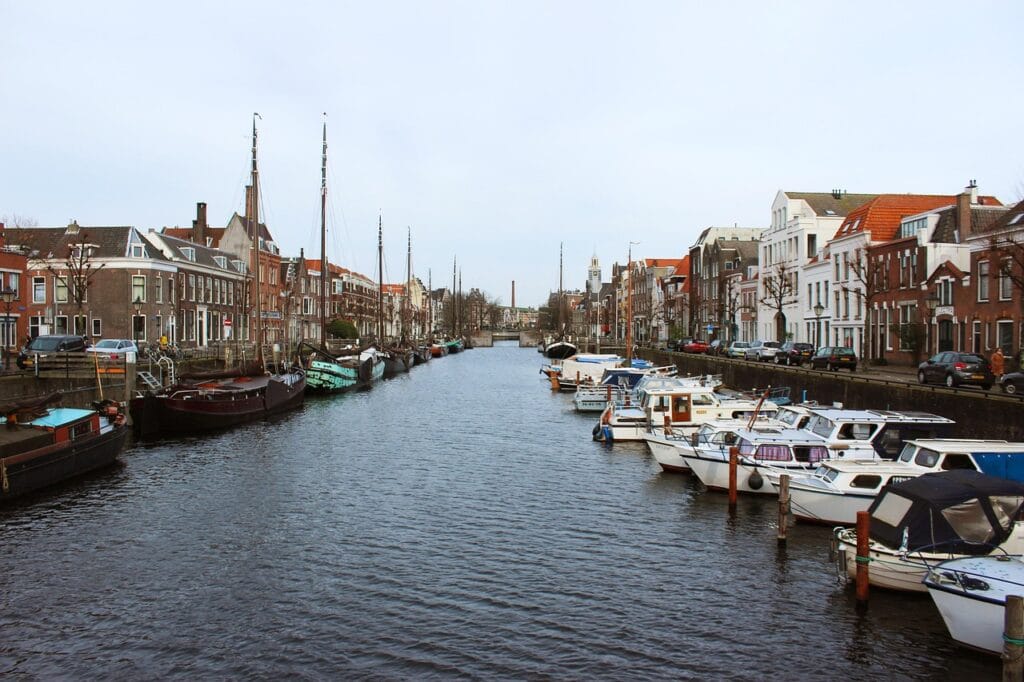 Image by DesignRotterdam from Pixabay