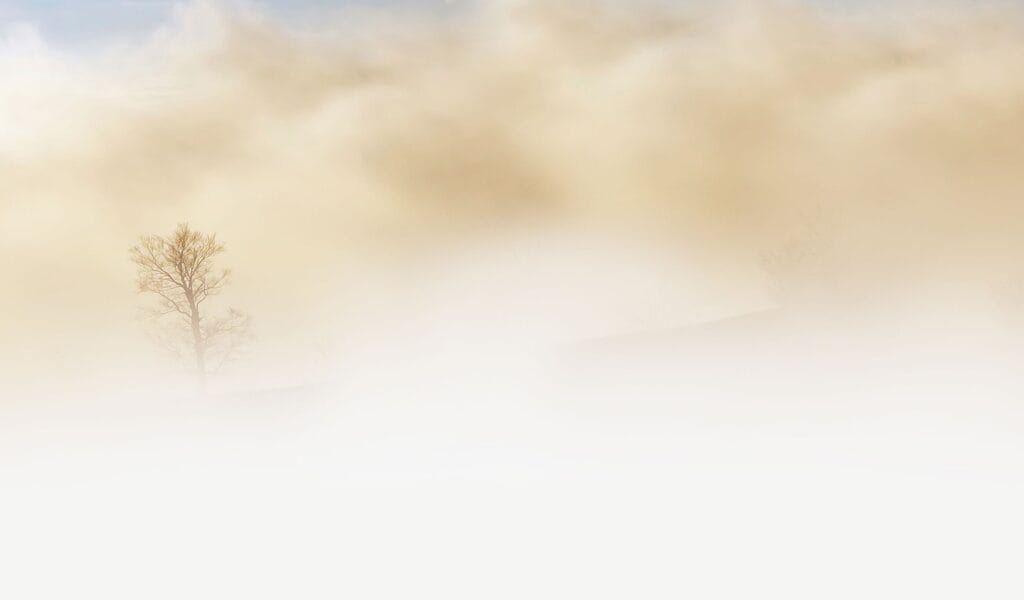 Image by 14398 from Pixabay