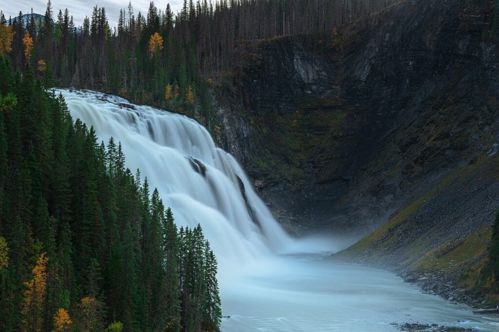 Image by RonaldPlett from Pixabay