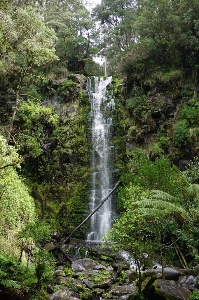 Image by bmac0 from Pixabay