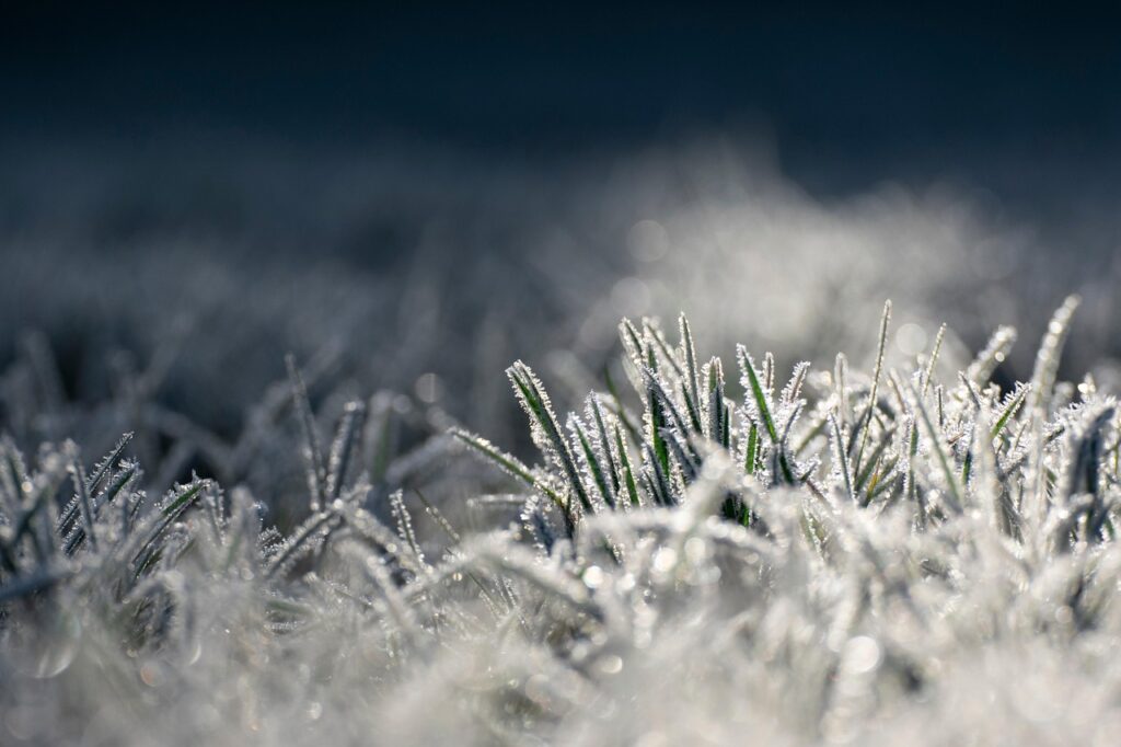 Image by Gekonek from Pixabay