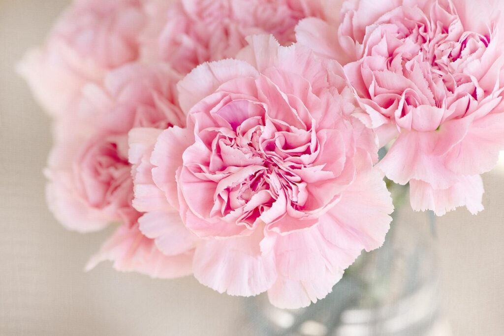 Image by Pezibear from Pixabay
