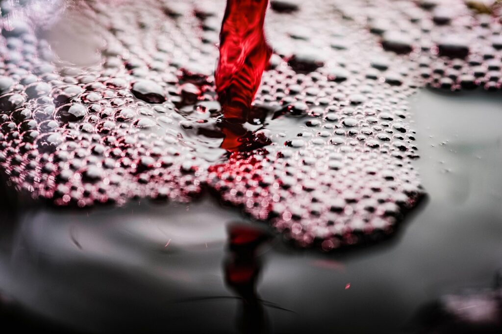 Image by 头比肩宽 from Pixabay