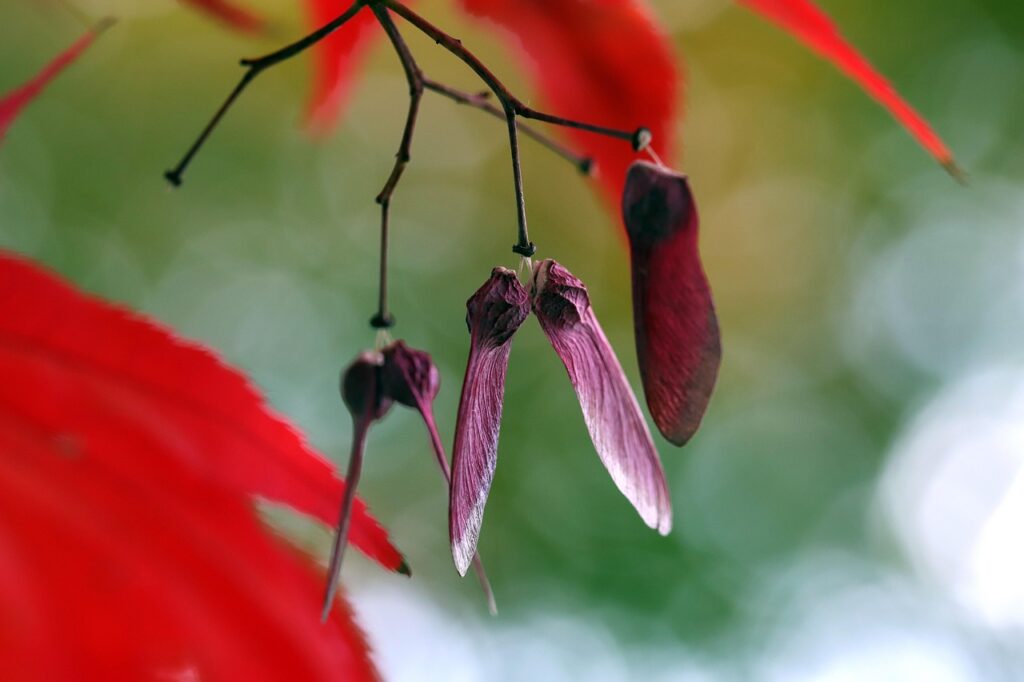 Image by HeungSoon from Pixabay