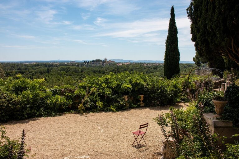 Image by MarcelDominic from Pixabay