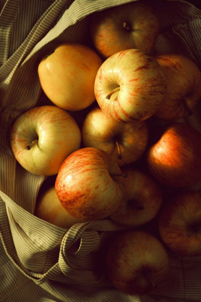 Image by Pataleex from Pixabay