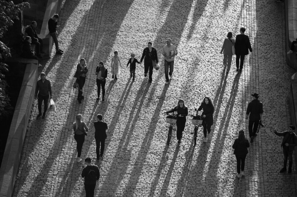 Image by TomasHa73 from Pixabay