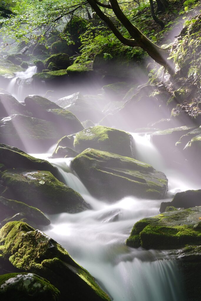 Image by ajs1980518 from Pixabay