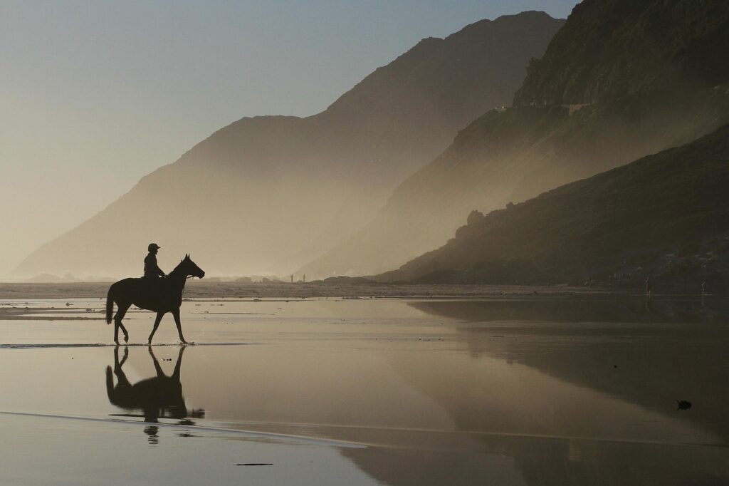 Image by stephencphotog from Pixabay