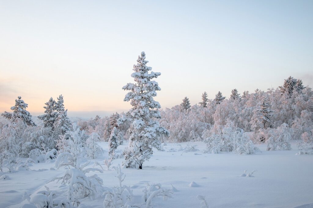 Image by Olssid from Pixabay