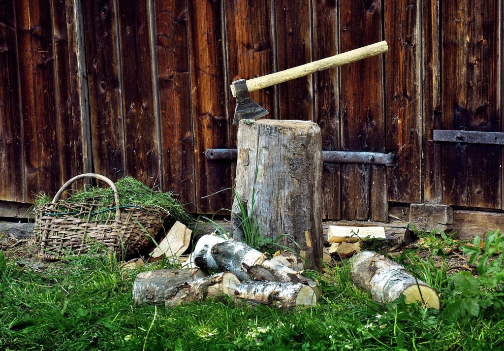 Image by JerzyGórecki from Pixabay