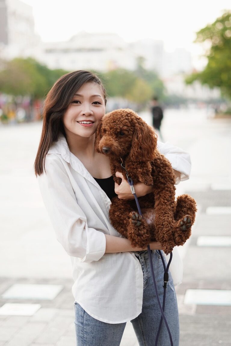 Image by Huynhly024 from Pixabay