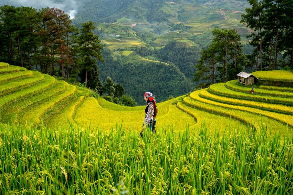 Image by chienba from Pixabay