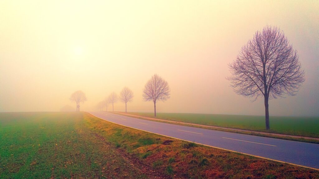 Image by jplenio from Pixabay
