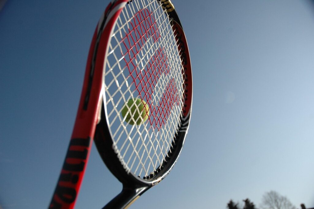 Image by marksontennis from Pixabay